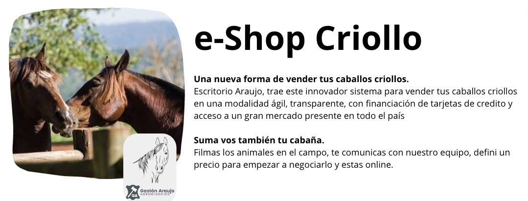 Banner e-shop